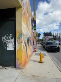 4-jose-quintanar(2)-insitu