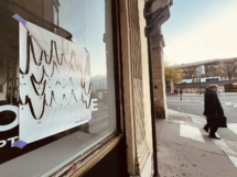 9-jose-quintanar(2)-insitu